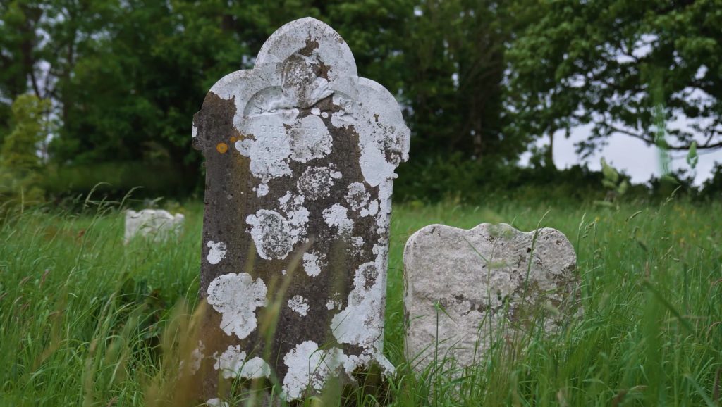 Gravestones in Rossorry Graveyard